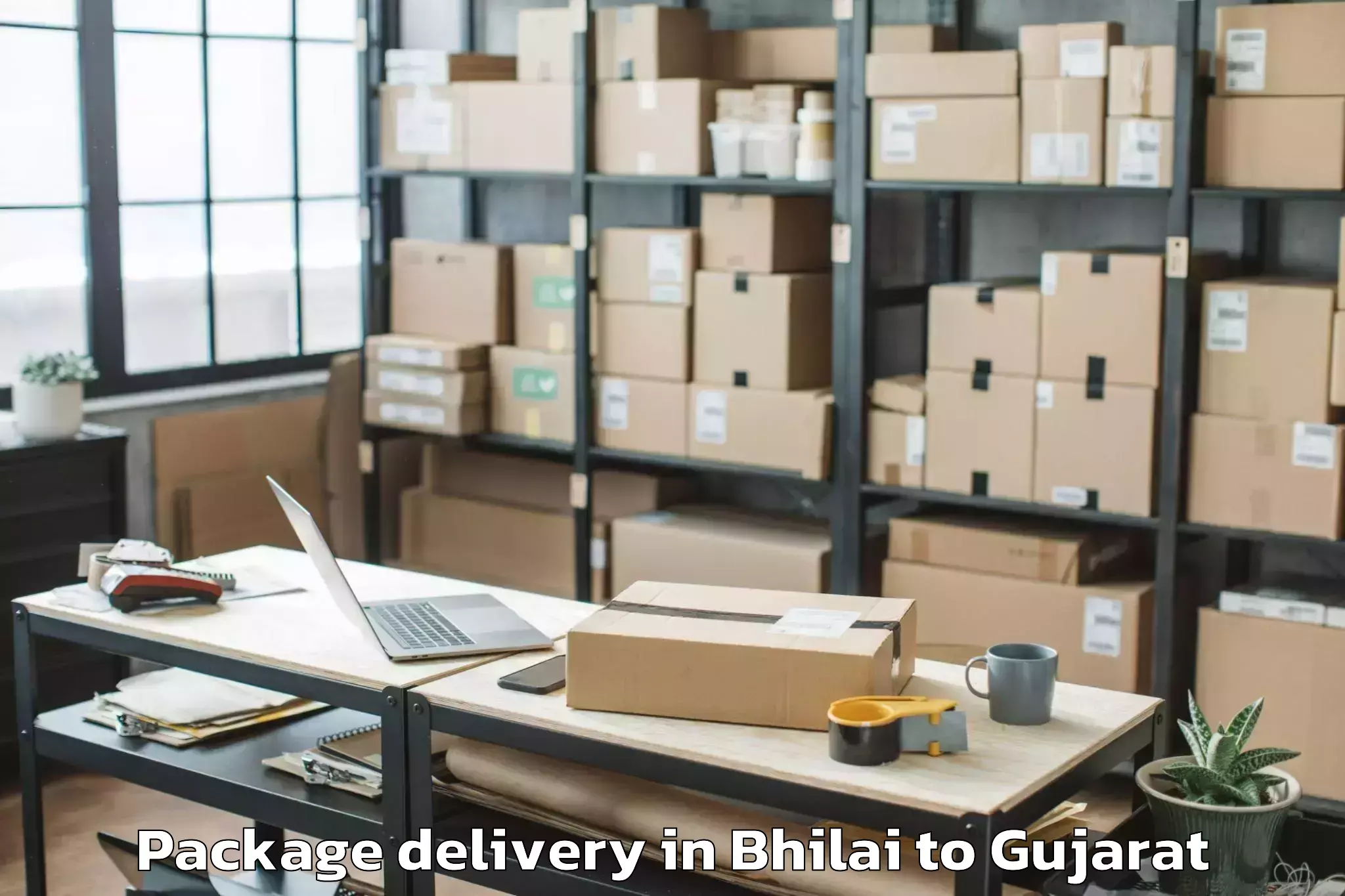 Easy Bhilai to Thasra Package Delivery Booking